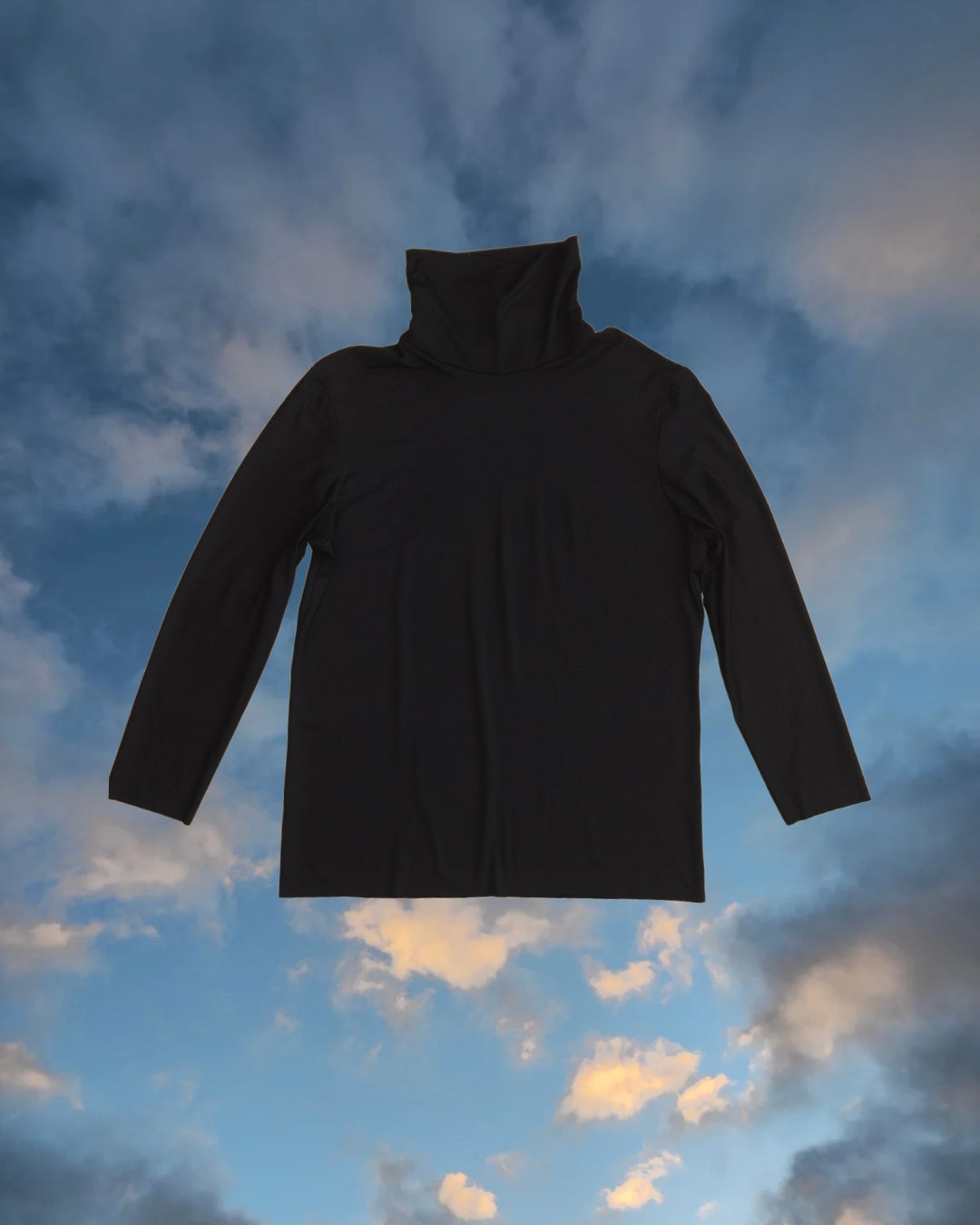 Longsleeve Rollneck